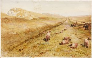 Cawfields de Henry Burdon Richardson
